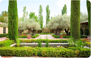 La Quinta del Jarama - Image 4