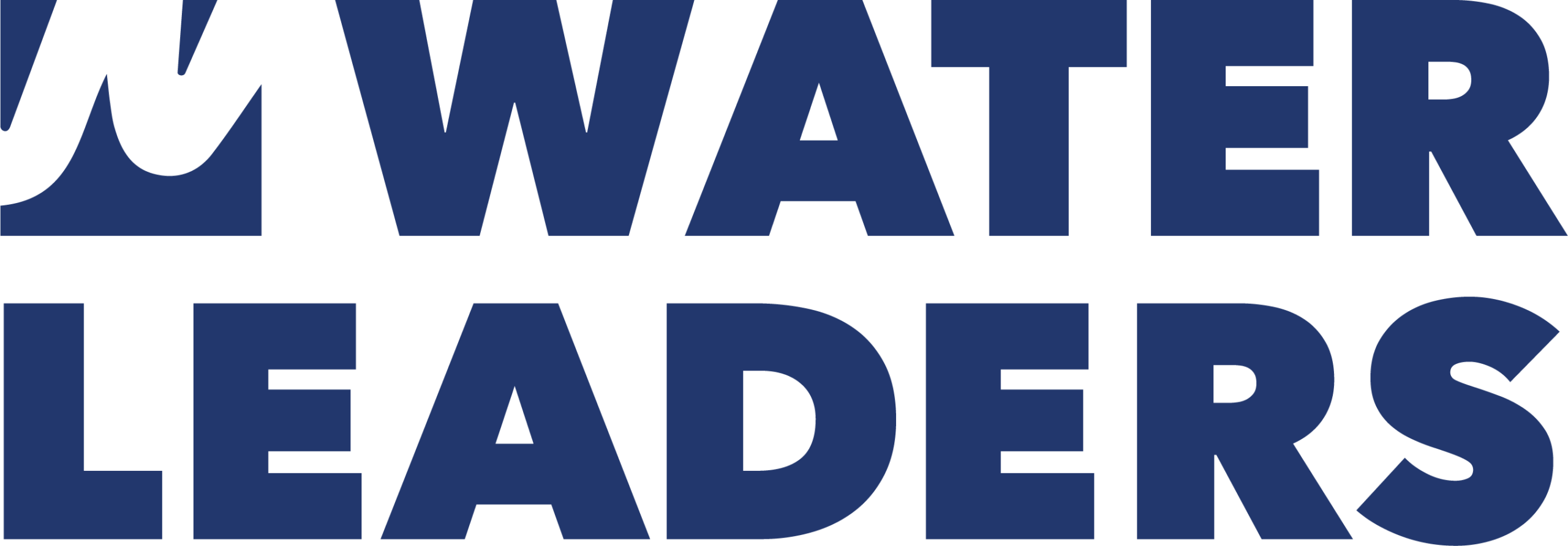 Global Water Leaders Group